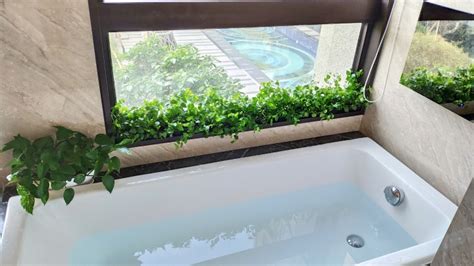 浴室綠化 九方格玩法
